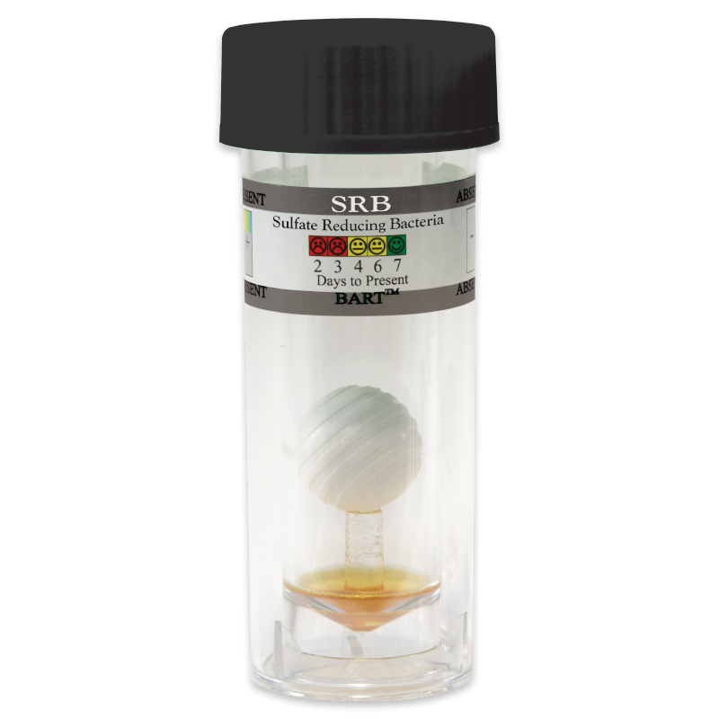 LAM-5-0025 Sulfate-Reducing Bacteria