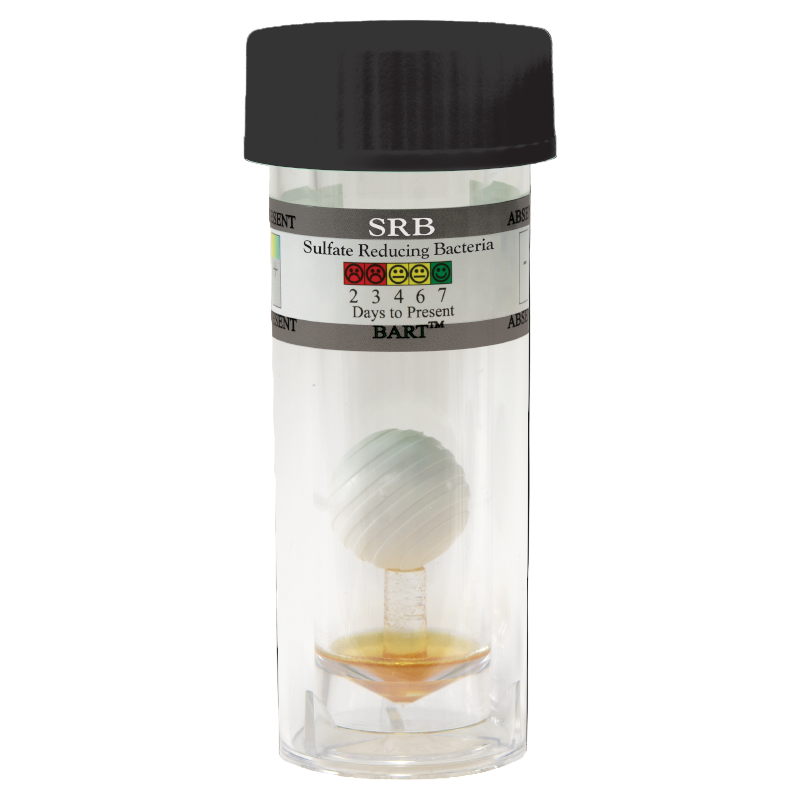 LAM-5-0025 Sulfate-Reducing Bacteria