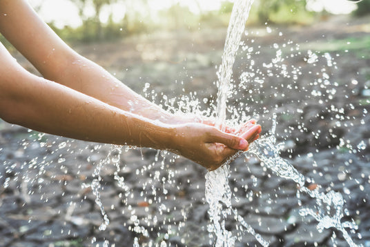 Hands catching water droplets with a blurred background of nature.