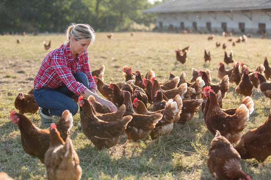 Woman in a red checkered shirt interacting with chickens in a grassy field.