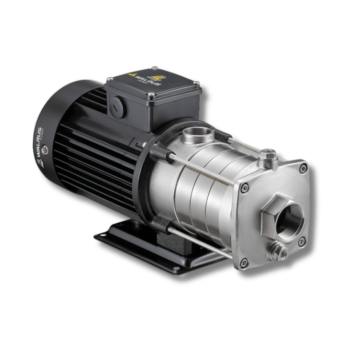 Walrus Multistage Centrifugal Pumps (TPH Series)