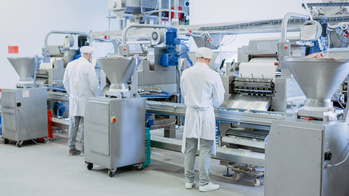 Workers in a food processing facility operating machinery.