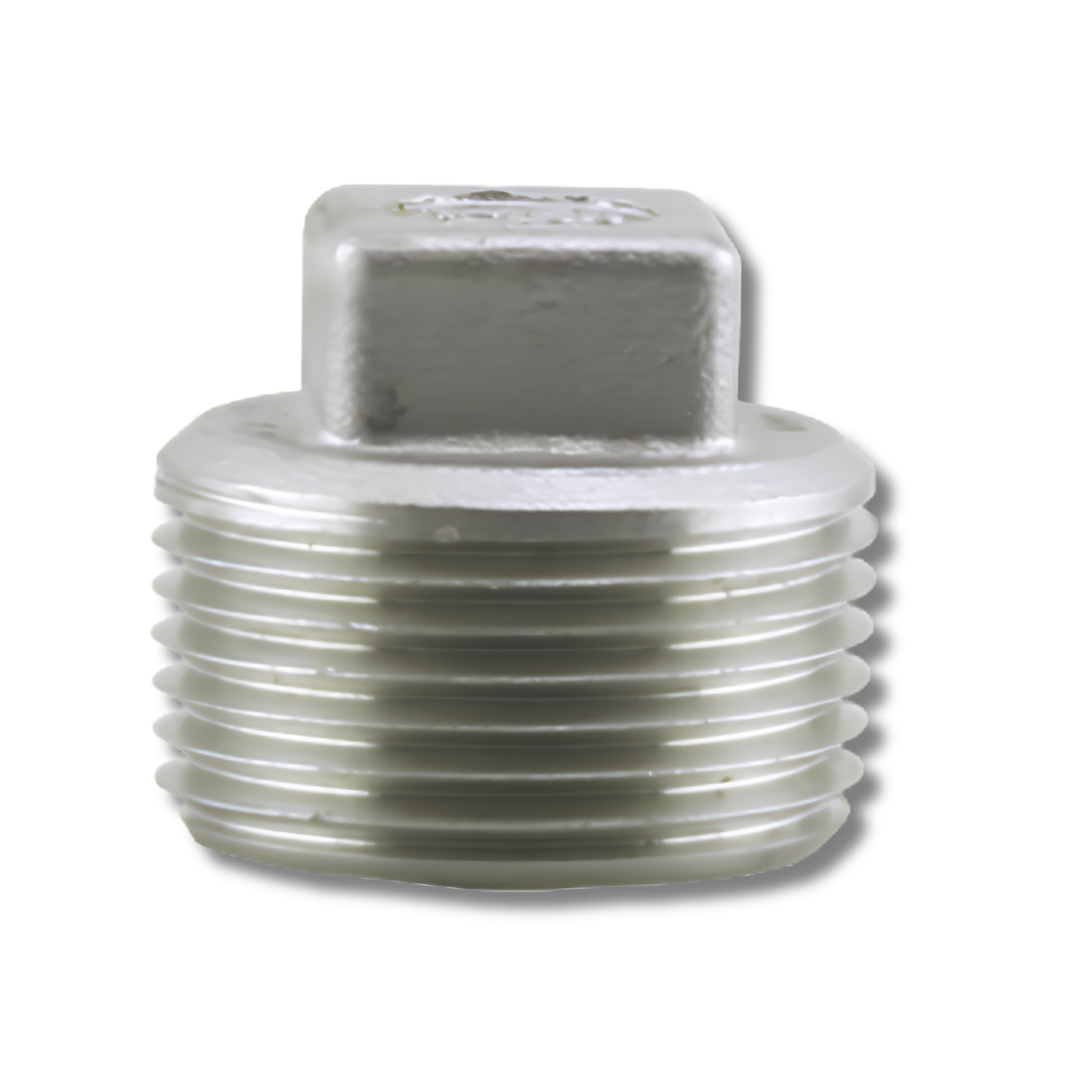 Boshart Industries SS304P Series Class 150 Light 304 Stainless Fittings - ISO 4144 Plug