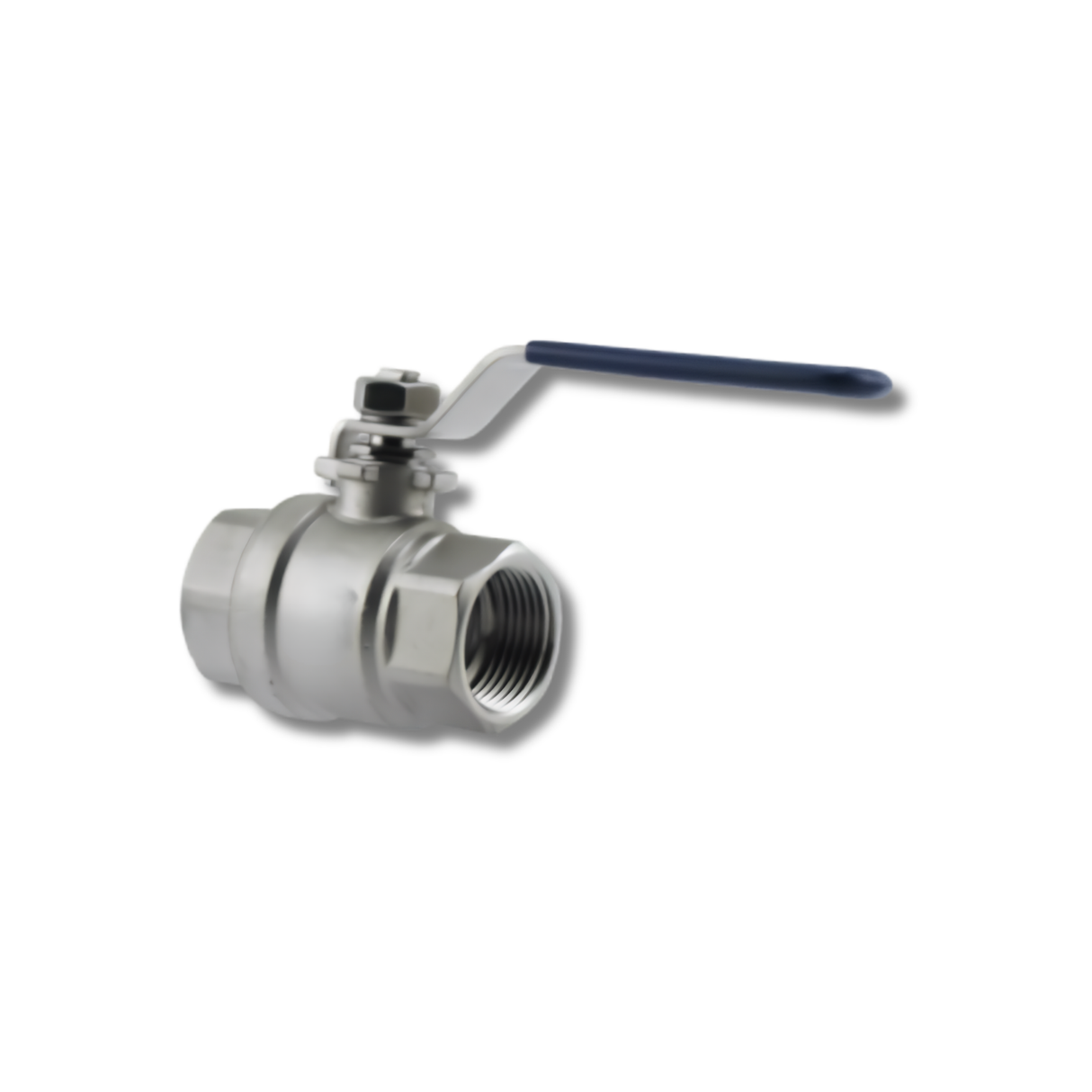 Boshart Industries SSBV304 Series FPT 304 Stainless Steel 1000 PSI Valve