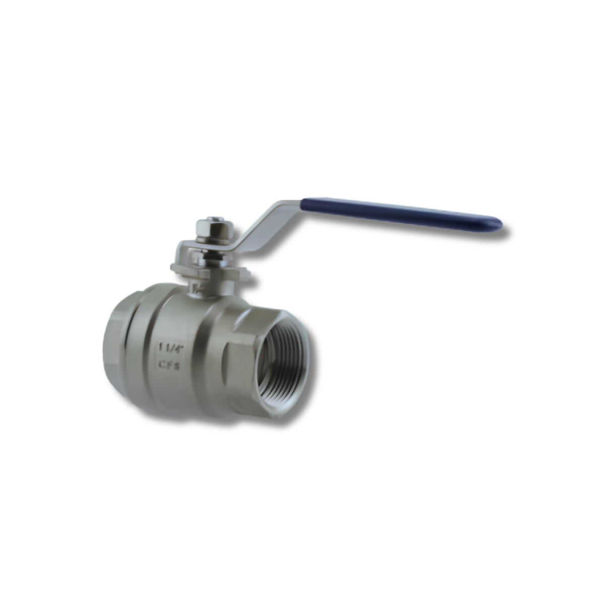 Boshart Industries SSBV304 Series FPT 304 Stainless Steel 1000 PSI Valve