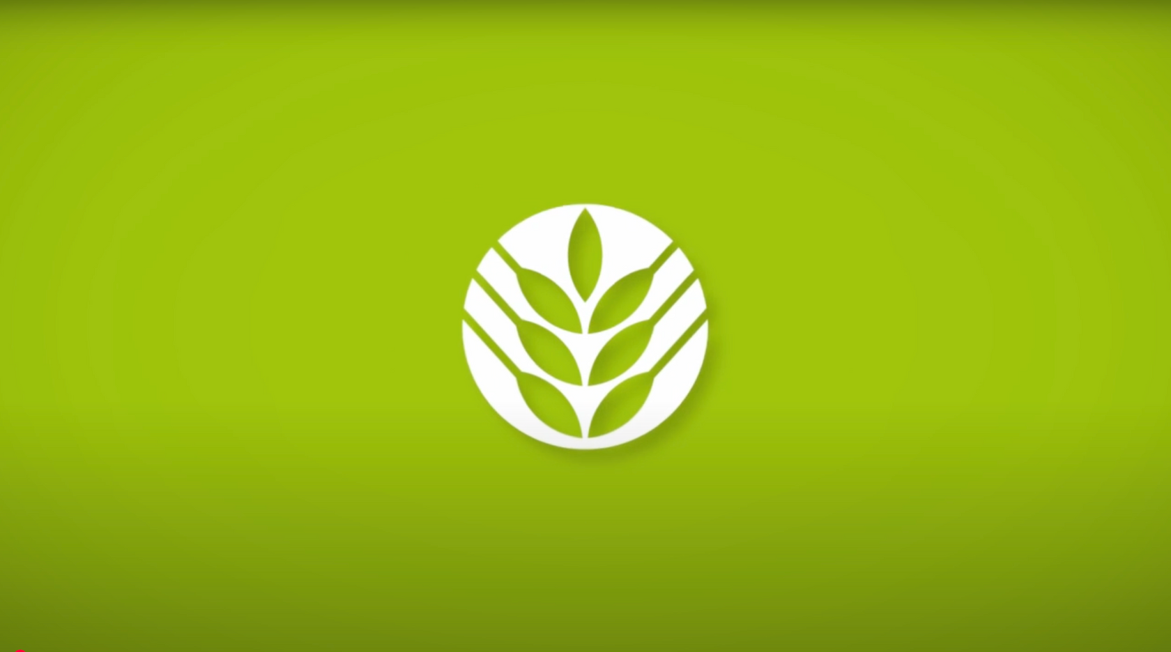 White leaf logo on a green background.