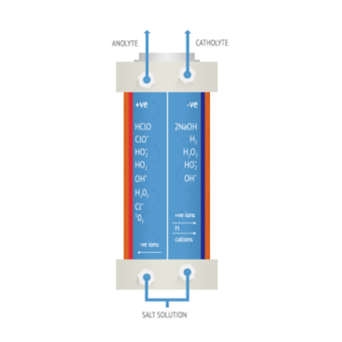 Electrochemical cell diagram illustrating anolyte, catholyte, and salt solution components with labeled ions.