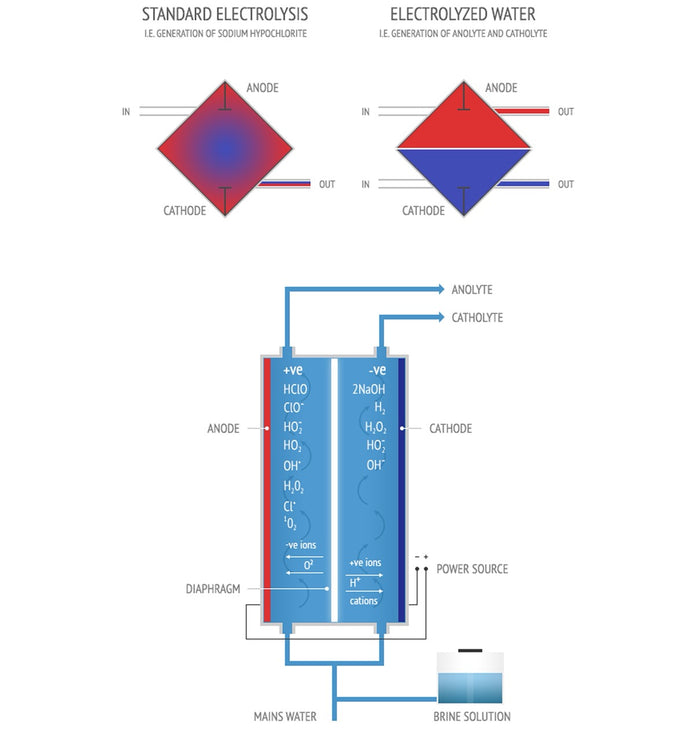 Diagram illustrating standard electrolysis and electrolyzed water processes, showing anode, cathode, and chemical reactions involved.