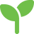 Green plant leaves icon