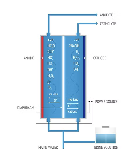 Electrolytic cell diagram illustrating anode, cathode, diaphragm, and connections for mains water and brine solution.
